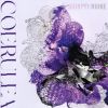 類家心平 - セルレア [CD]