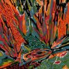 Akusmi - Terra Incognita [CD] [限定]
