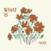 ホワット・イズ・～ノイズ?&nbsp;&nbsp;～ノイズ [CD]