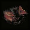 Gurriers - Nobody's Coming To Save You [CD] [限定]