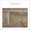 本山禎朗 - INCIDENTALLY 4 [CD]