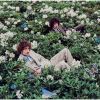 タンジェリン - ファミリー・トラディション [CD]