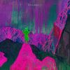 DINOSAUR JR. - GIVE A GLIMPSE OF WHAT YER NOT [CD] [限定]