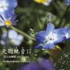 若月佑輝郎 with Garjue - 天周地音17 [CD]