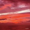 bambies - 火の色 [CD]
