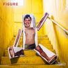 THE NUGGETS - FIGURE [CD]