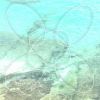 yawn club - tender eyes [CD]