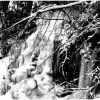 Moloch - The Forest Kingdom [CD]