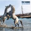 PILOT TO GUNNER - Hail Hallucinator [CD]
