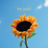 The Snuts - Joy In Short Moments [CD]