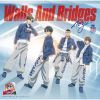 青酢 - Walls And Bridges [CD] [限定]