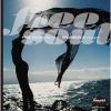 フリー・ソウル・ウィンディ・シティ～ブランズウィック・トレジャー [CD]