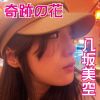 八坂美空 - 奇跡の花 [CD]
