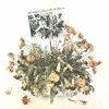 ザ・チャールズ - センド・ミー・ノー・フラワーズ [CD] [限定]