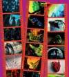 名誉伝説 - OK集 [Blu-ray+CD]