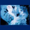 Asa Tone - Mutualkind [CD]
