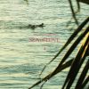 SALT... meets ISLAND CAFE SEA of LOVE 4 [CD]