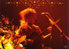 BONNIE PINK/TOUR 2005Golden Tears [DVD]