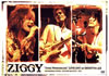 ZIGGY/Ƴ!!LIVE 2007 at SHIBUYA-AX [DVD]