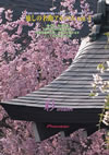 ̾ʥХ vol.5 ܤκȹաɳڥ󥵥֥ [DVD]