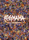 BIGMAMA/ȹԤ̥Ǥαι2ȡ [DVD]