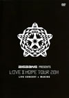 BIGBANG/BIGBANG PRESENTSLOVE&HOPE TOUR 2011ɡ2ȡ [DVD]