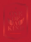 G-DRAGON's COLLECTION ONE OF A KIND