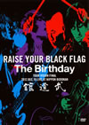 The Birthday/RAISE YOUR BLACK FLAG The Birthday TOUR VISION FINAL 2012.DEC.19 LIVE AT NIPPON BUDOKAN [DVD]