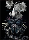 the GazettE/LIVE TOUR 12-13DIVISIONFINAL MELT LIVE AT 03.10 SAITAMA SUPER ARENAҽס2ȡ [DVD]