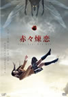 ֡ [DVD]