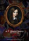 Acid Black Cherry/2015 arena tour L--2ȡ [DVD]