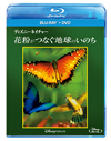 ǥˡͥ㡼 ʴĤʤϵΤΤ2ȡ [Blu-ray]