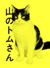 ɥW Υȥव DVD-BOX2ȡ [DVD]