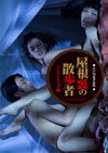 ΢λ ߥƥåǡҽ [DVD]