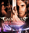 GALNERYUS/JUST PLAY TO THE SKYWHAT COULD WE DO FOR YOU...? [Blu-ray]