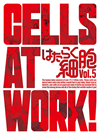 Ϥ餯˦ 5Ҵǡ [DVD]