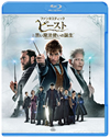 ե󥿥ƥåӡȤȹˡȤ ƥǥåǥ֥롼쥤åȡҽ͡2ȡ [Blu-ray]