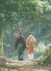 ˷ ǽ The Final ǡҽꡦ2ȡ [DVD]