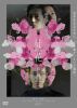 ̲-ADABANA- [DVD]