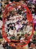sumika/Live Tour 2025Vermillion's2025.6.29 at SAITAMA SUPER ARENA [DVD]