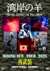 湾岸の羊～Sheep living on the edge～ ／ RISING SUN TOUR 2025 再武装 [DVD]