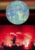 THE YELLOW MONKEY ／ TOUR2024 ／ 25 Sparkleの惑星X(-BLOCK1-) [DVD]