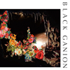 ̾ŲȯѰۥ饤BLACK GANIONϥ饤LP