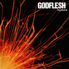 GODFLESHHELLFEST 2010ӤˤƺƷ