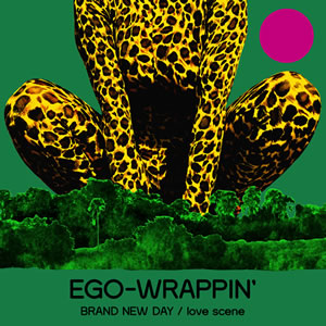 EGO-WRAPPINǡե롦ȤˡΥɤо졪