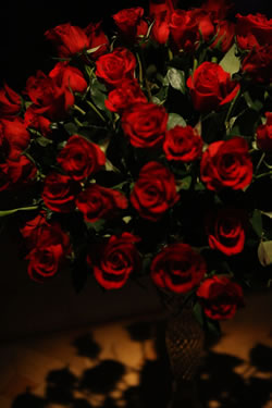 KOKIA�����ޥ󡦥��󥵡��Ȥǿ�����Ϫ��