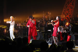 live image 11䳫롪