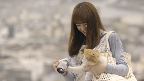 北川景子