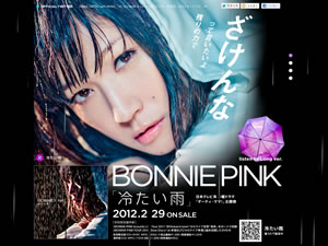 BONNIE PINK䤿ץߥ塼åӥǥ