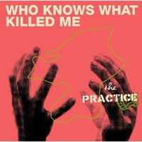 THE PRACTICE˾2ndХNothing New٤ȯꡪ